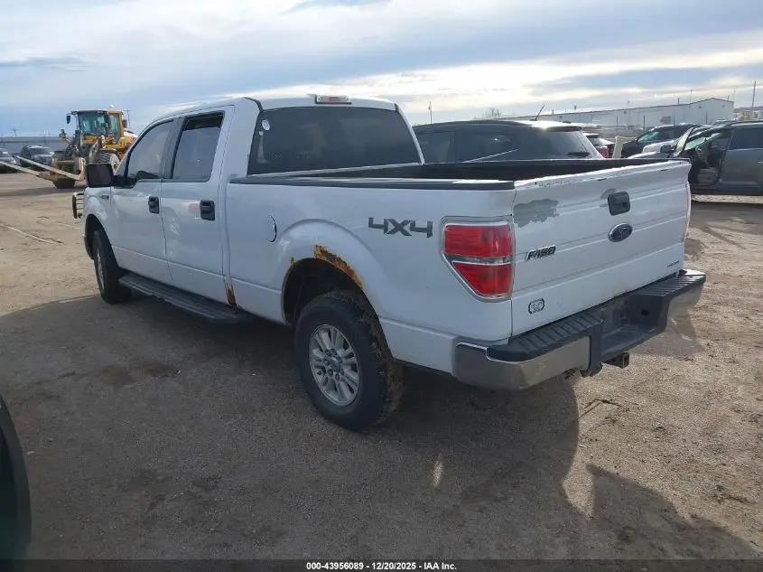 2014 FORD F-150 XLT