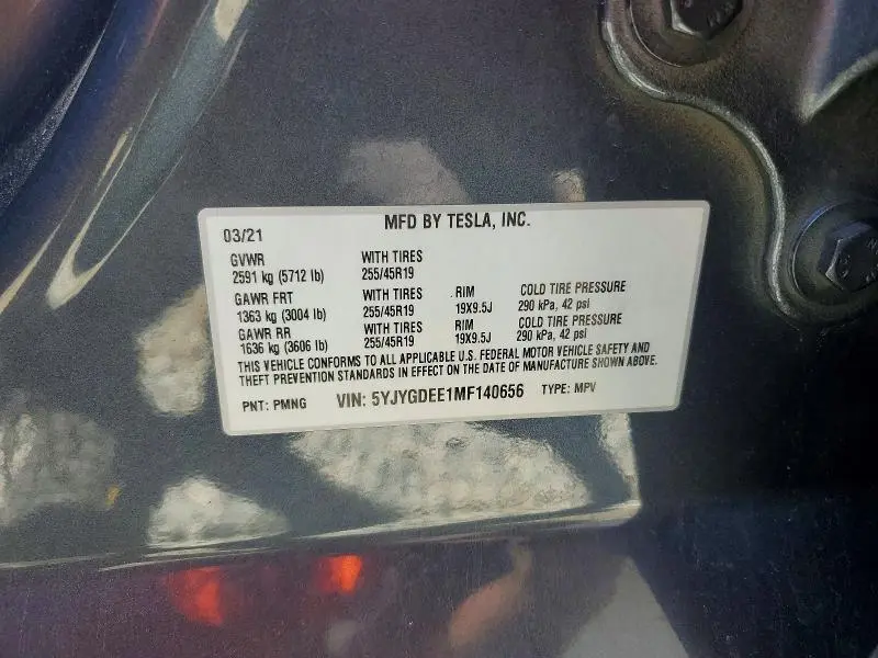 2021 TESLA MODEL Y   