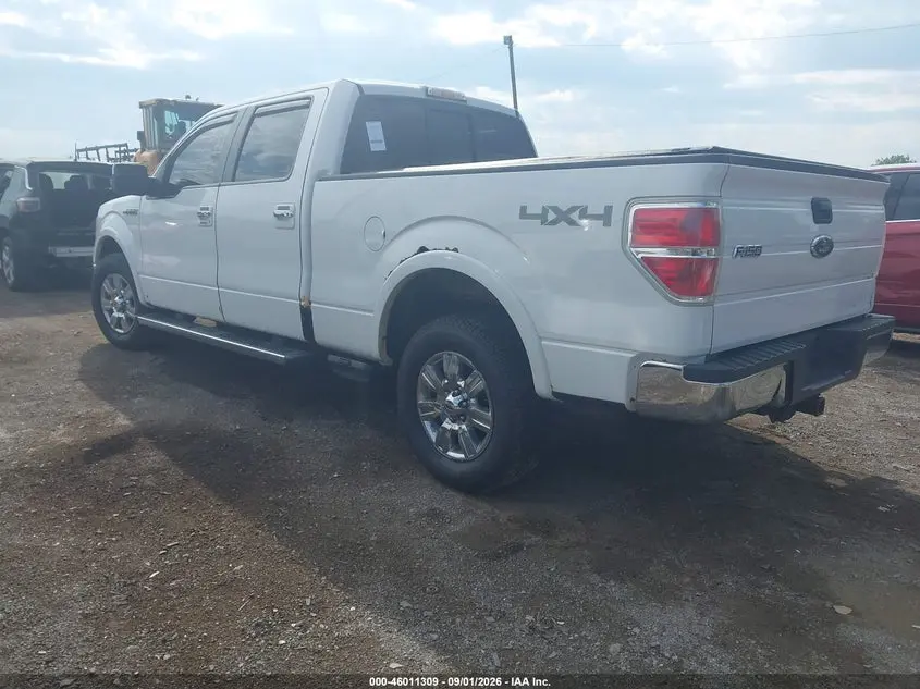 2010 FORD F-150 FX4/HARLEY-DAVIDSON/KING RANCH/LARIAT/PLATINUM/XL/XLT