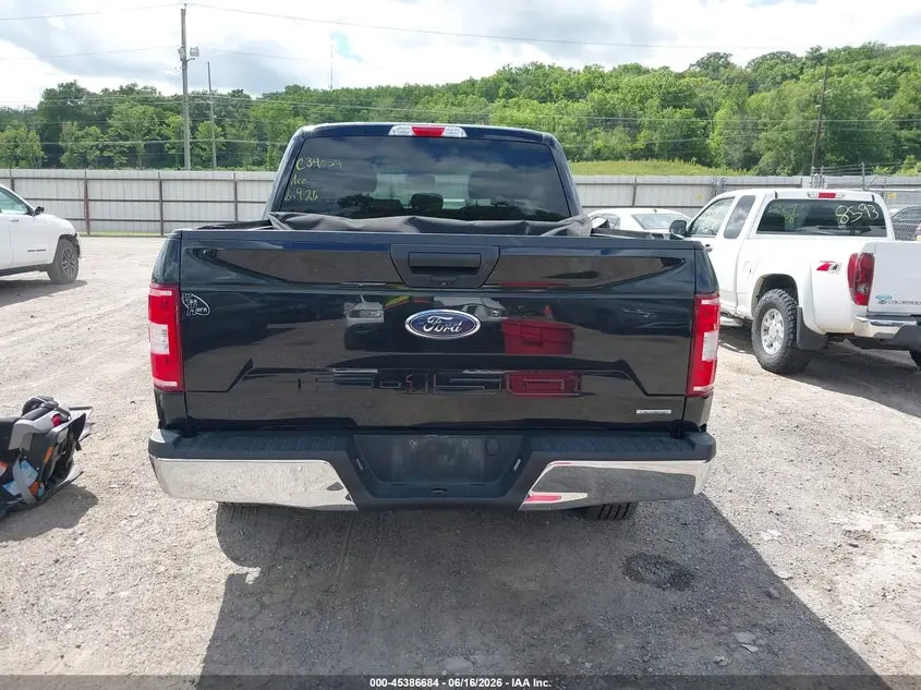 2019 FORD F-150 XLT
