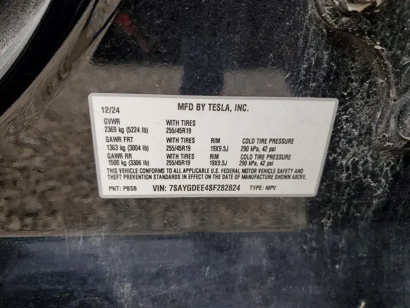 2025 TESLA MODEL Y   