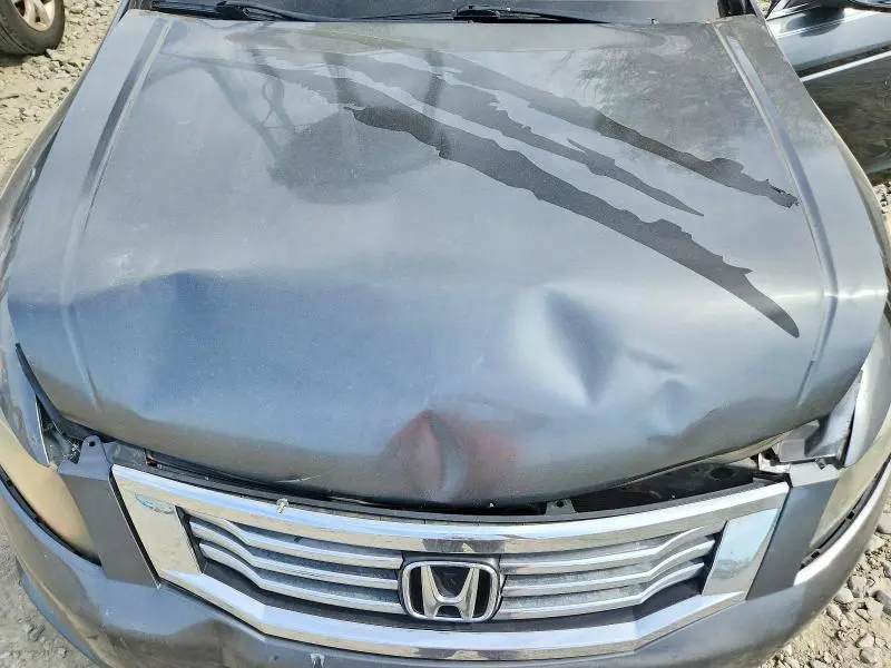 2010 HONDA ACCORD LXP  