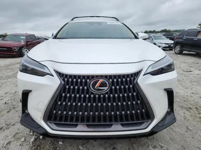 2025 LEXUS NX 250 BASE  