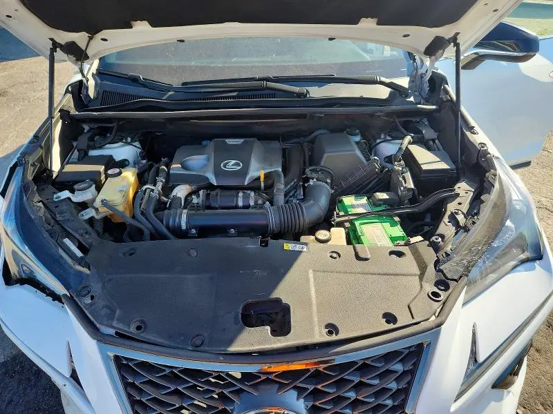 2019 LEXUS NX 300 F SPORT  