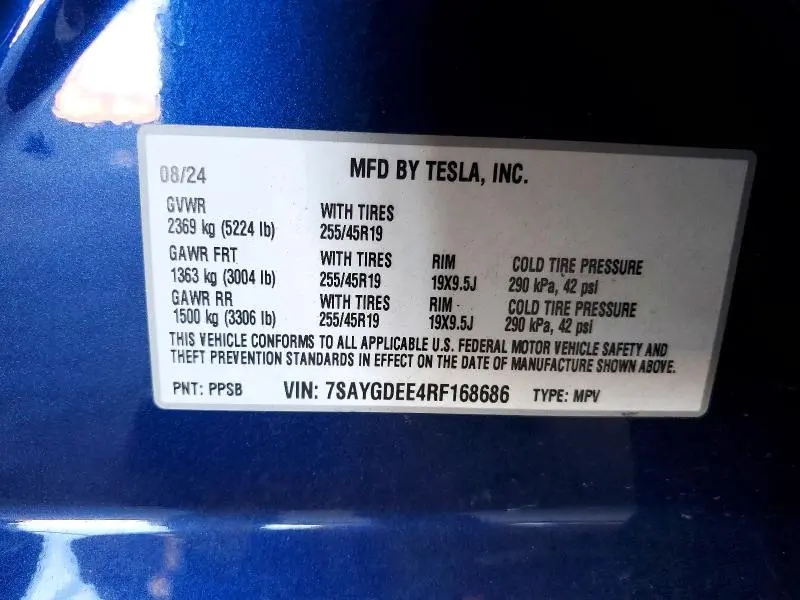2024 TESLA MODEL Y   