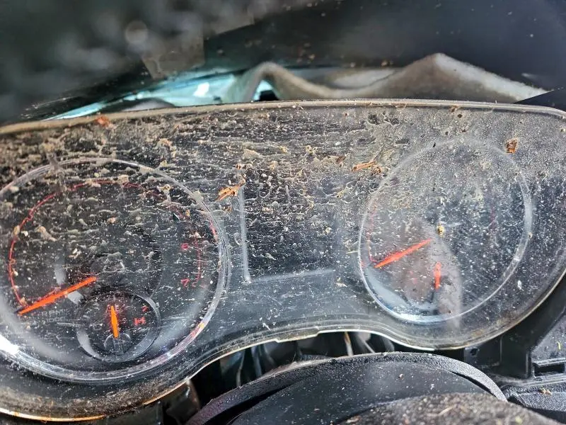 2014 DODGE CHARGER R/T  