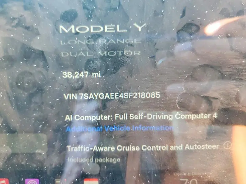 2025 TESLA MODEL Y   