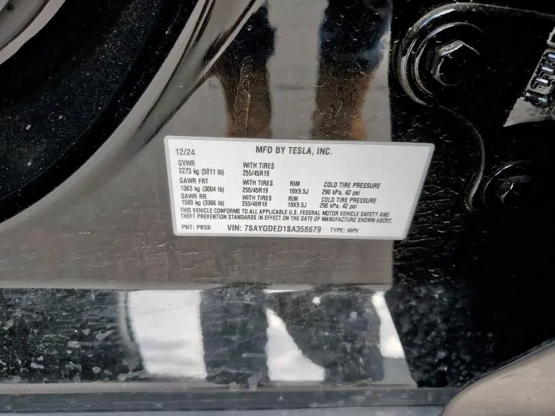 2025 TESLA MODEL Y 
