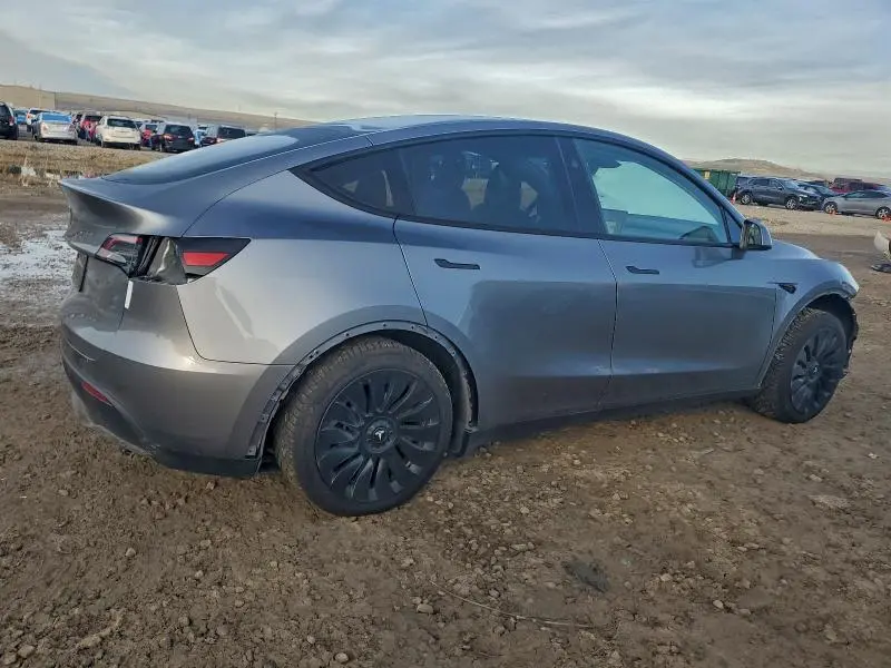 2025 TESLA MODEL Y   