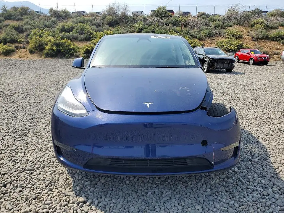 2025 TESLA MODEL Y   