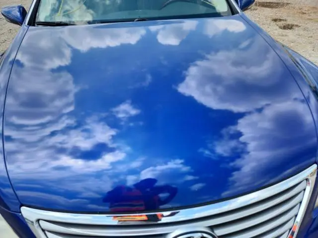 2010 LEXUS LS 460  