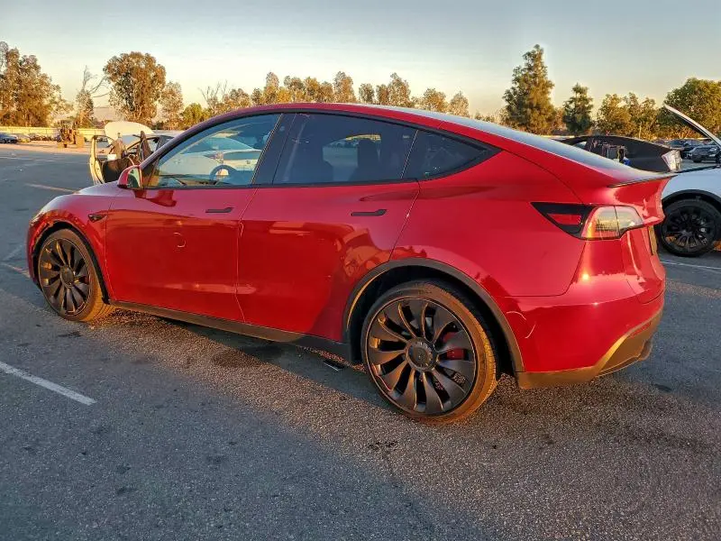 2022 TESLA MODEL Y   