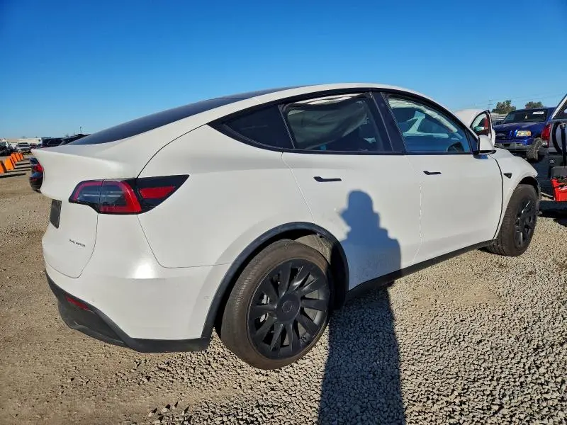 2020 TESLA MODEL Y   