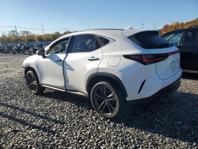 2025 LEXUS NX 450H LUXURY  
