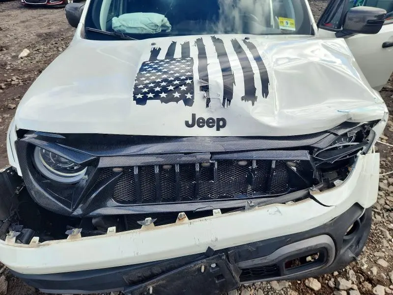 2019 JEEP RENEGADE TRAILHAWK  