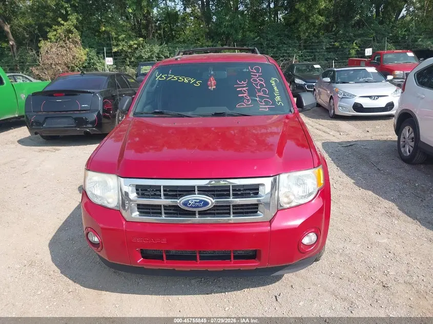 2010 FORD ESCAPE XLT