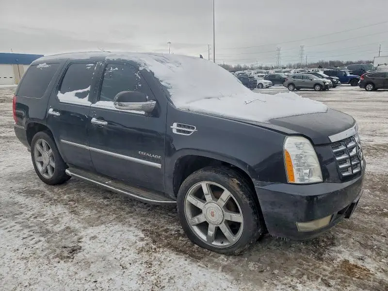 2010 CADILLAC ESCALADE LUXURY  