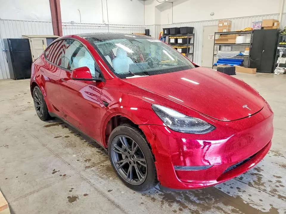 2025 TESLA MODEL Y   