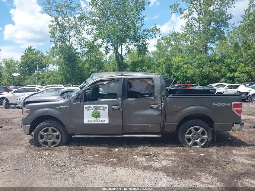 2014 FORD F-150 XLT