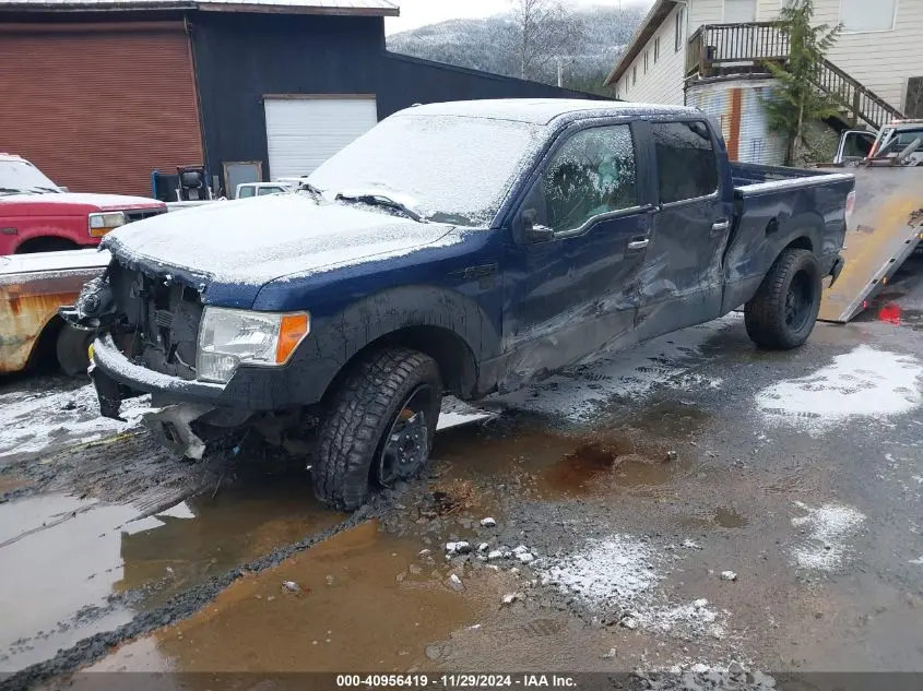 2010 FORD F-150 FX4/HARLEY-DAVIDSON/KING RANCH/LARIAT/PLATINUM/XL/XLT