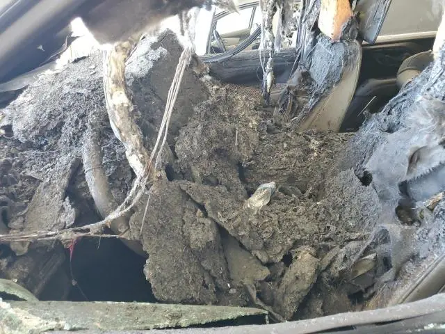 2024 CHEVROLET TAHOE C1500 LT  