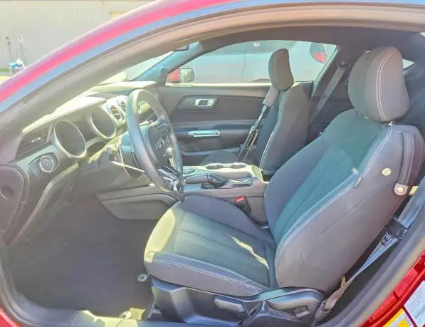2019 FORD MUSTANG   