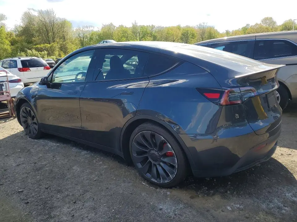 2025 TESLA MODEL Y   