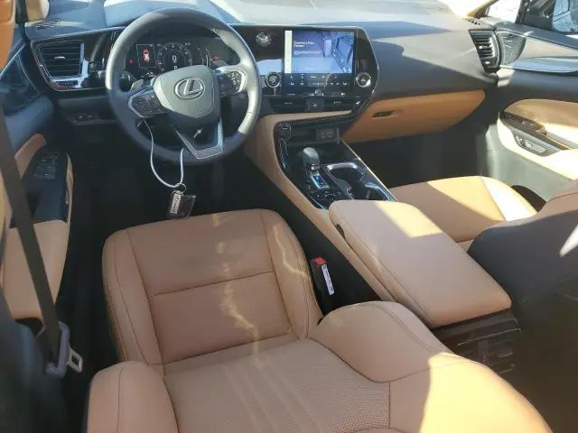 2025 LEXUS NX 250 BASE  
