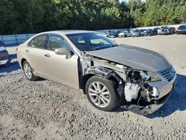 2010 LEXUS ES 350  