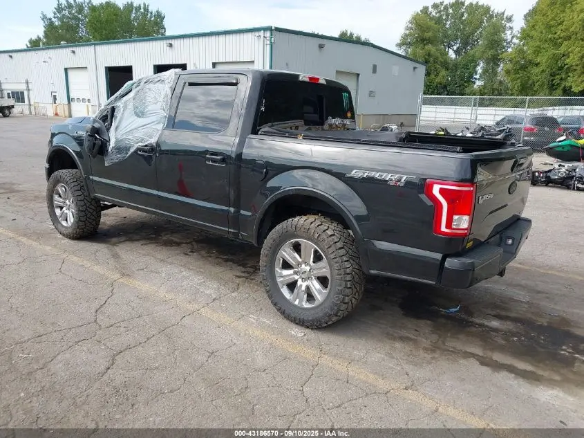 2015 FORD F-150 XLT