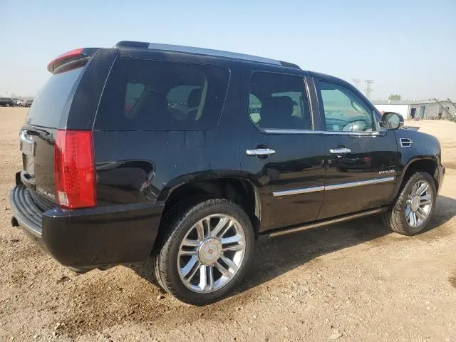 2010 CADILLAC ESCALADE PLATINUM
