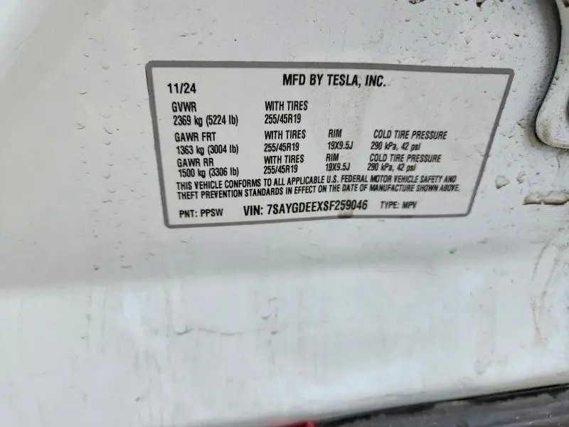 2025 TESLA MODEL Y   