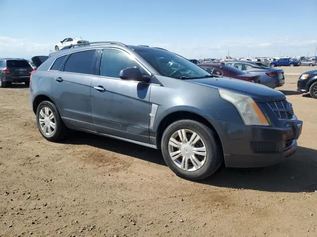 2010 CADILLAC SRX   