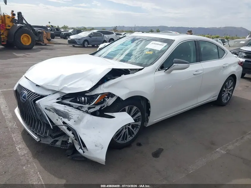 2019 LEXUS ES 300H  