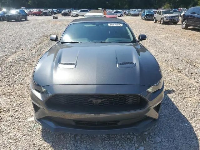 2019 FORD MUSTANG