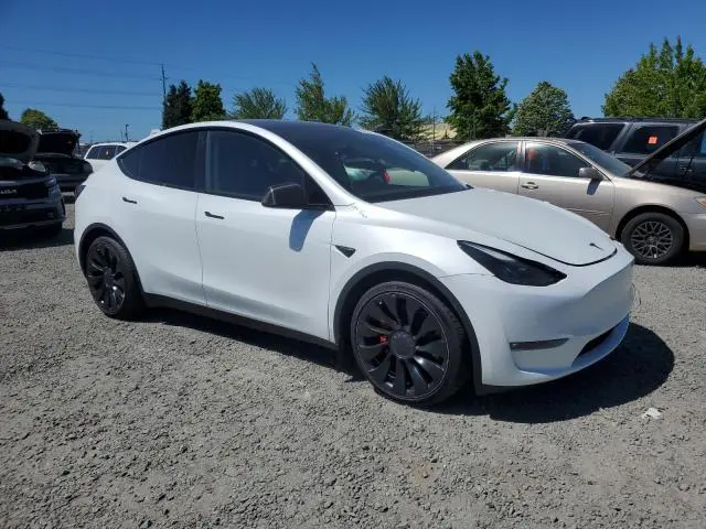 2022 TESLA MODEL Y   