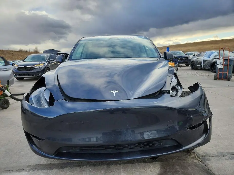 2024 TESLA MODEL Y   