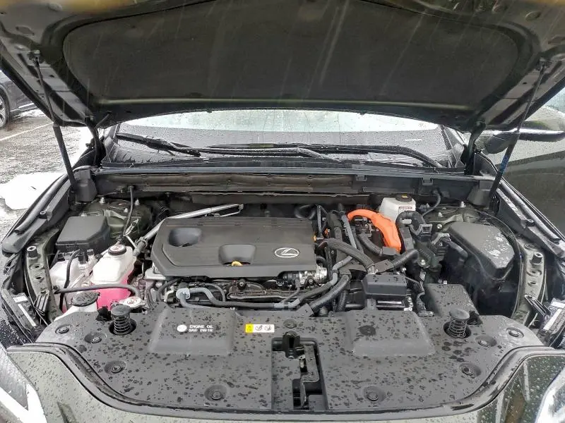 2025 LEXUS NX 350H BASE  