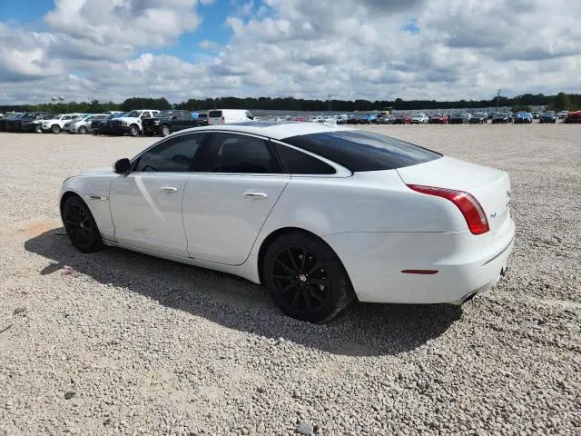 2014 JAGUAR XJ   