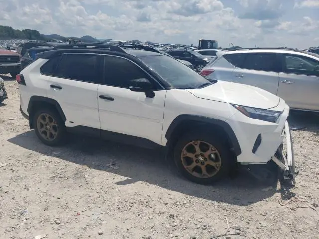 2024 TOYOTA RAV4 WOODLAND EDITION  
