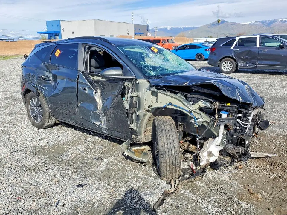 2024 HYUNDAI TUCSON BLUE  