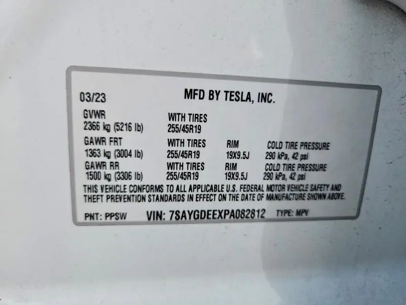 2023 TESLA MODEL Y   