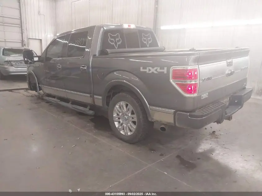 2010 FORD F-150 FX4/HARLEY-DAVIDSON/KING RANCH/LARIAT/PLATINUM/XL/XLT