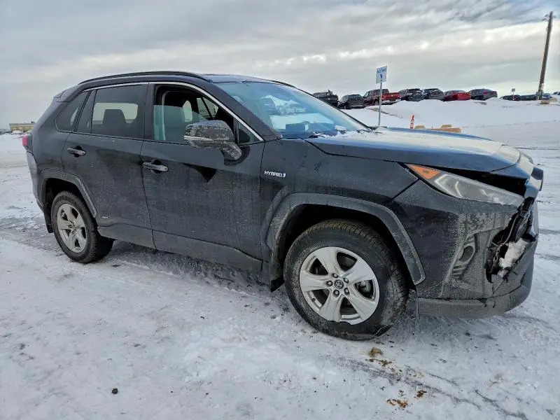 2019 TOYOTA RAV4 XLE  