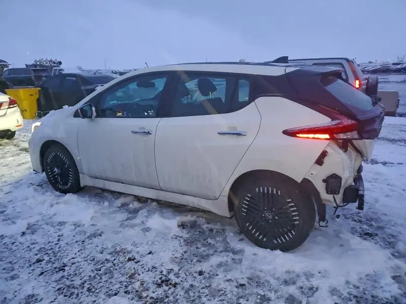 2025 NISSAN LEAF SV PLUS  