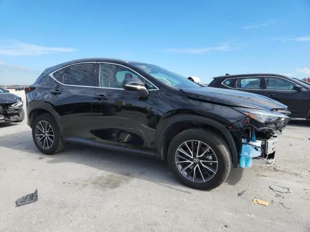 2024 LEXUS NX 250 BASE  