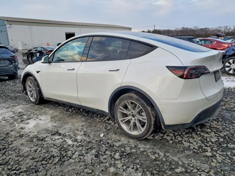2022 TESLA MODEL Y   