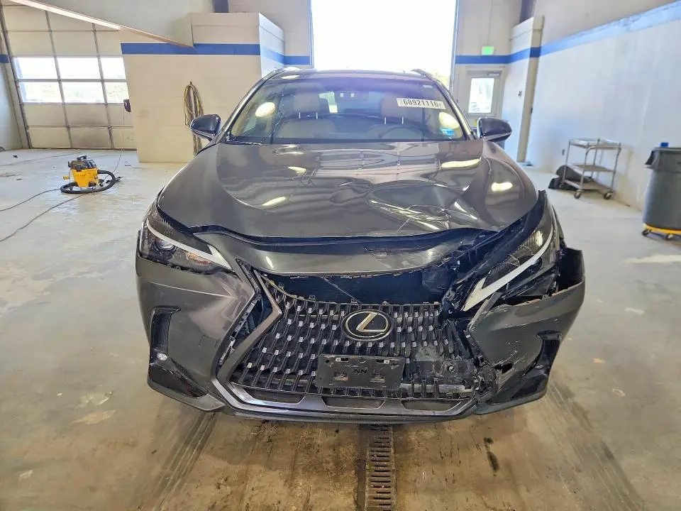 2023 LEXUS NX 350  