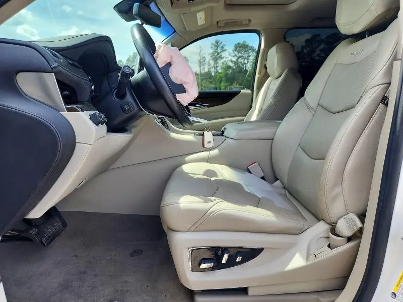 2019 CADILLAC ESCALADE ESV LUXURY  