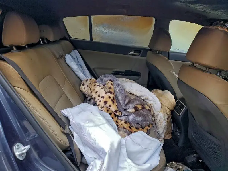 2020 KIA SPORTAGE EX  